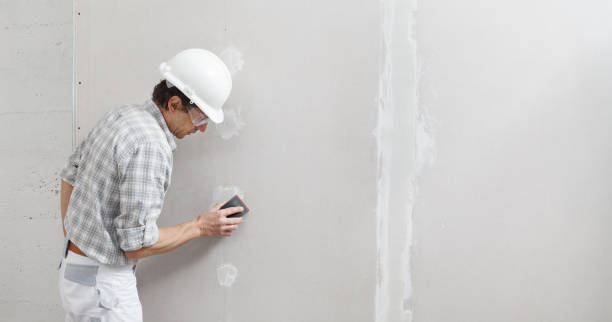 Best Attic Mold Removal  in Dentsville, SC
