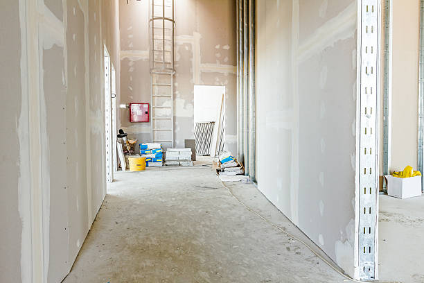 Best Dehumidification Services  in Dentsville, SC